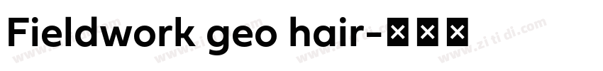 Fieldwork geo hair字体转换